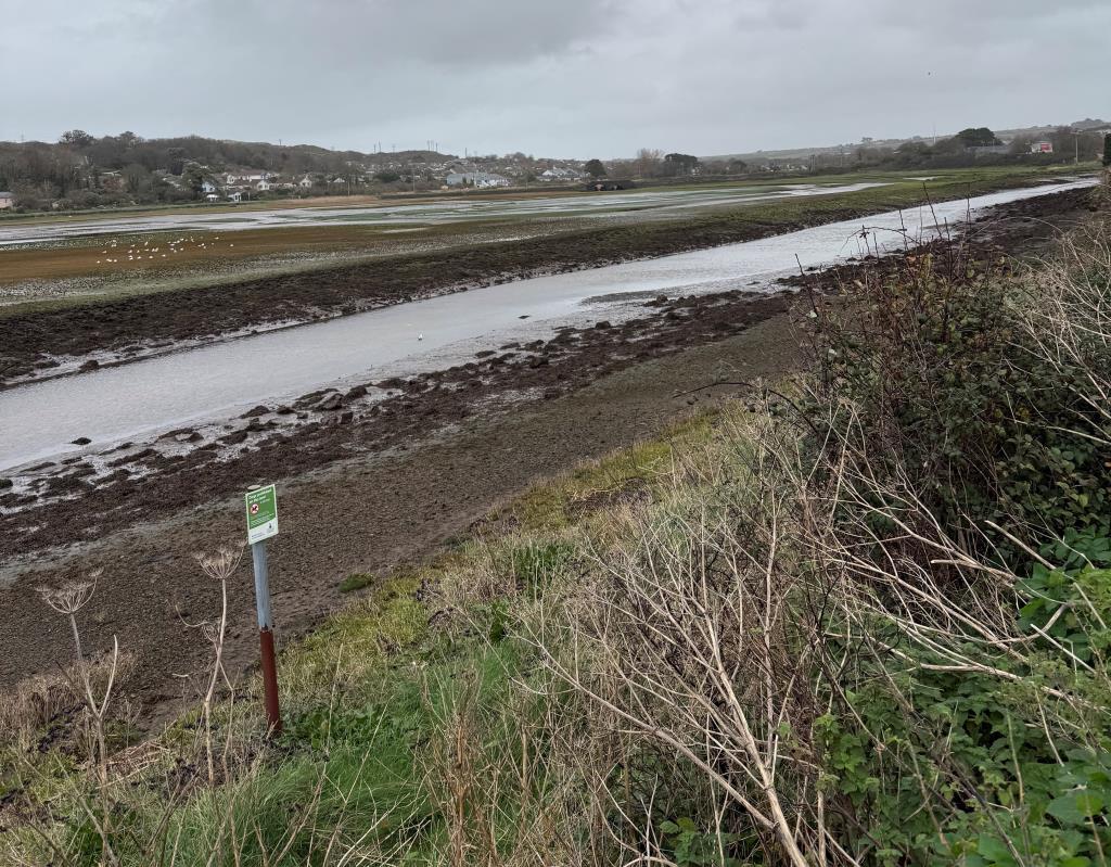 Lot: 60 - TWO PARCELS OF FREEHOLD LAND - View from grass verge over Estuary